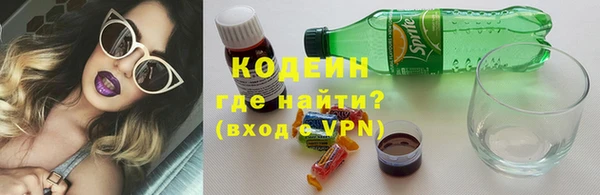 спайс Нея