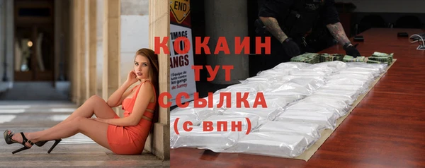 твердый Новозыбков