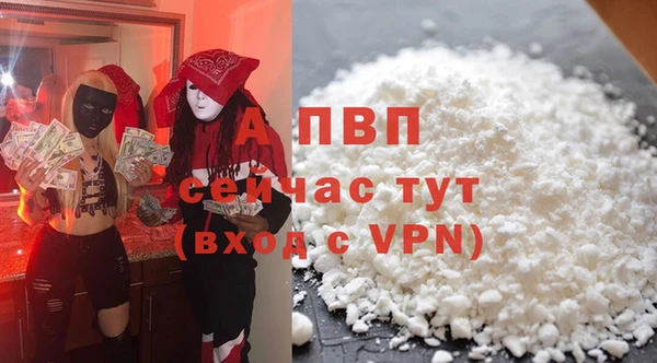 твердый Новозыбков