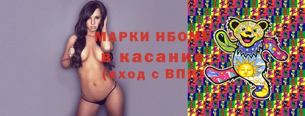 твердый Новозыбков