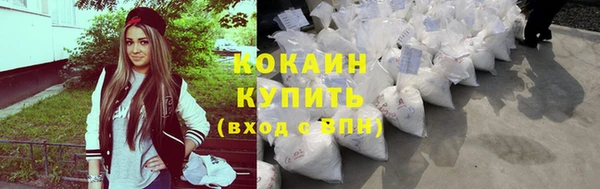 твердый Новозыбков