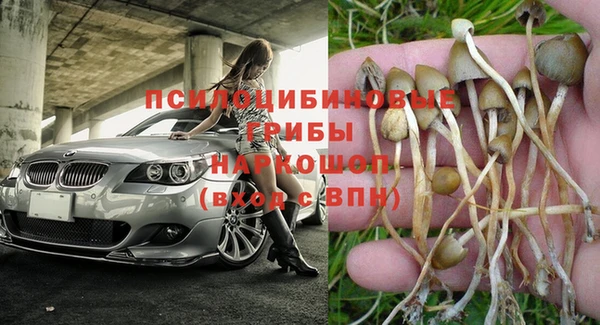 спайс Нея