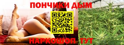 PSILOCYBIN Гатчина