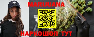 PSILOCYBIN Гатчина