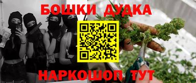PSILOCYBIN Гатчина