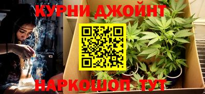 спиды Гай