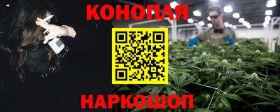 PSILOCYBIN Гатчина