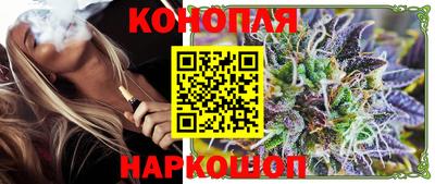 PSILOCYBIN Гатчина