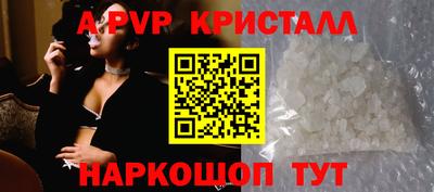 PSILOCYBIN Гатчина