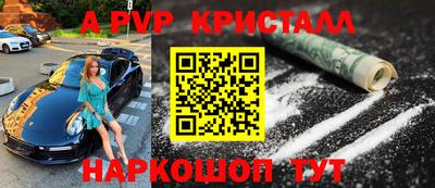 спиды Гай