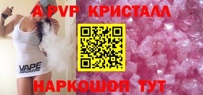 спиды Гай