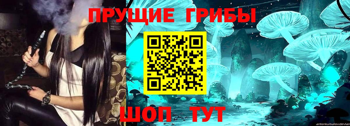 Галлюциногенные грибы Psilocybine cubensis  Галлюциногенные грибы мухоморы  Азнакаево  Вход с VPN 
