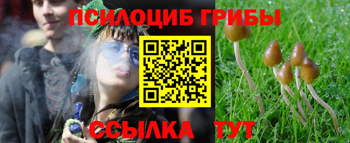 Галлюциногенные грибы GOLDEN TEACHER Азнакаево